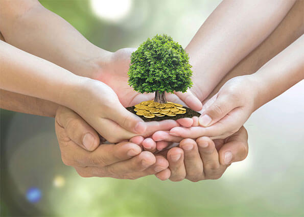 Organize fundraising activities for charity Annual