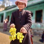 Grape Harvest, Uttarakhand