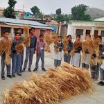 Making use of seed library the children learn to grow and harvest wheat & others ( RLEK, Uttarakhand)